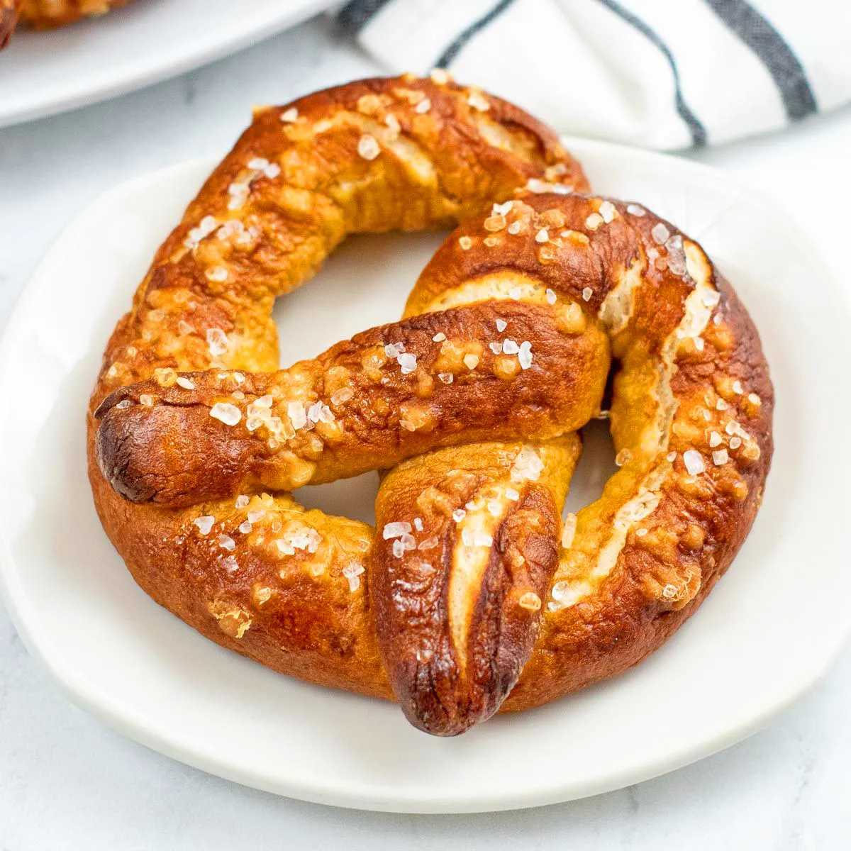 Jumbo Pretzel